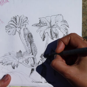 Ateliers Adultes