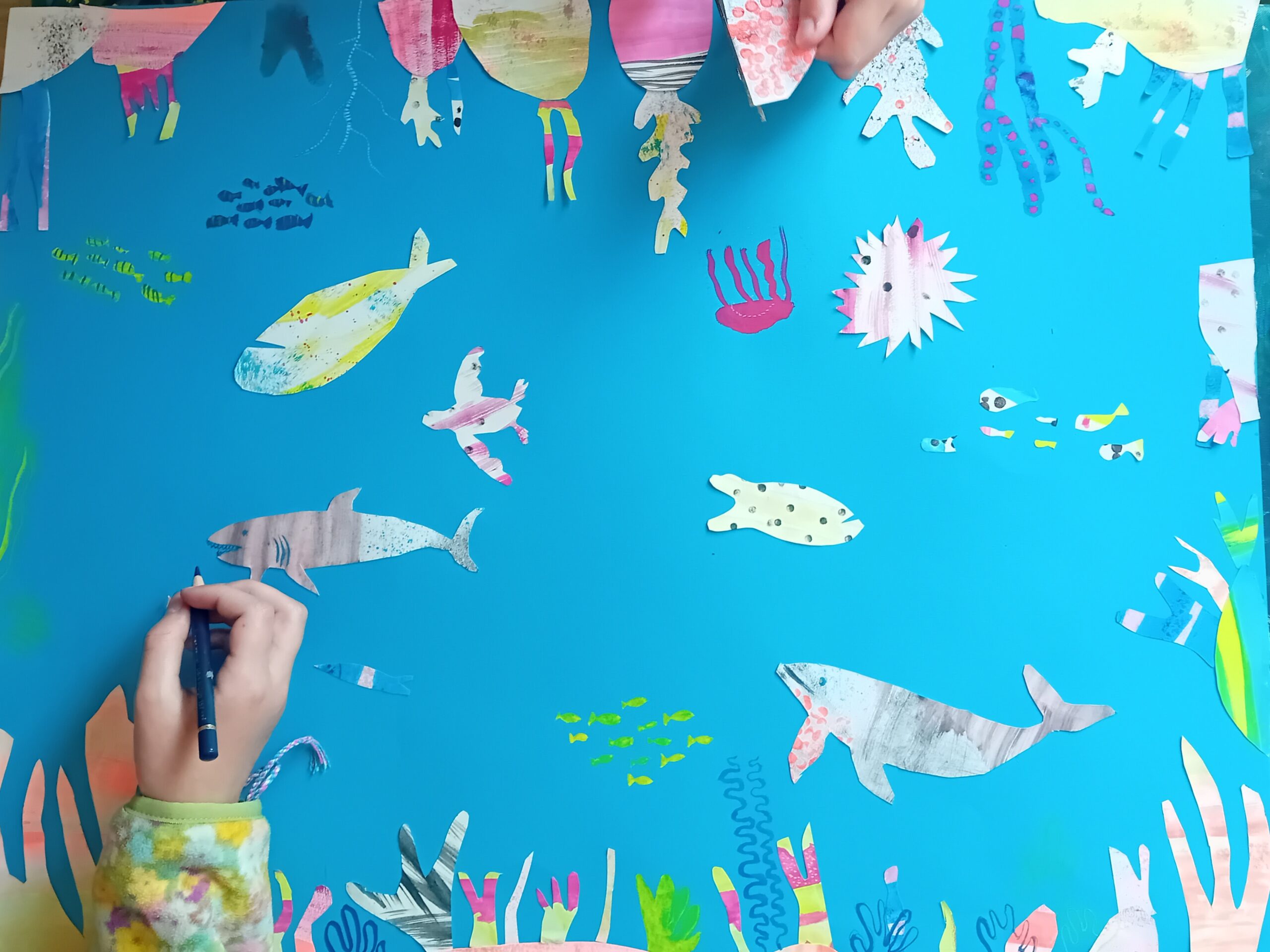 Illustration - Illustration de fond sous-marin- 13/08 et 14/08 de 10h à 12h