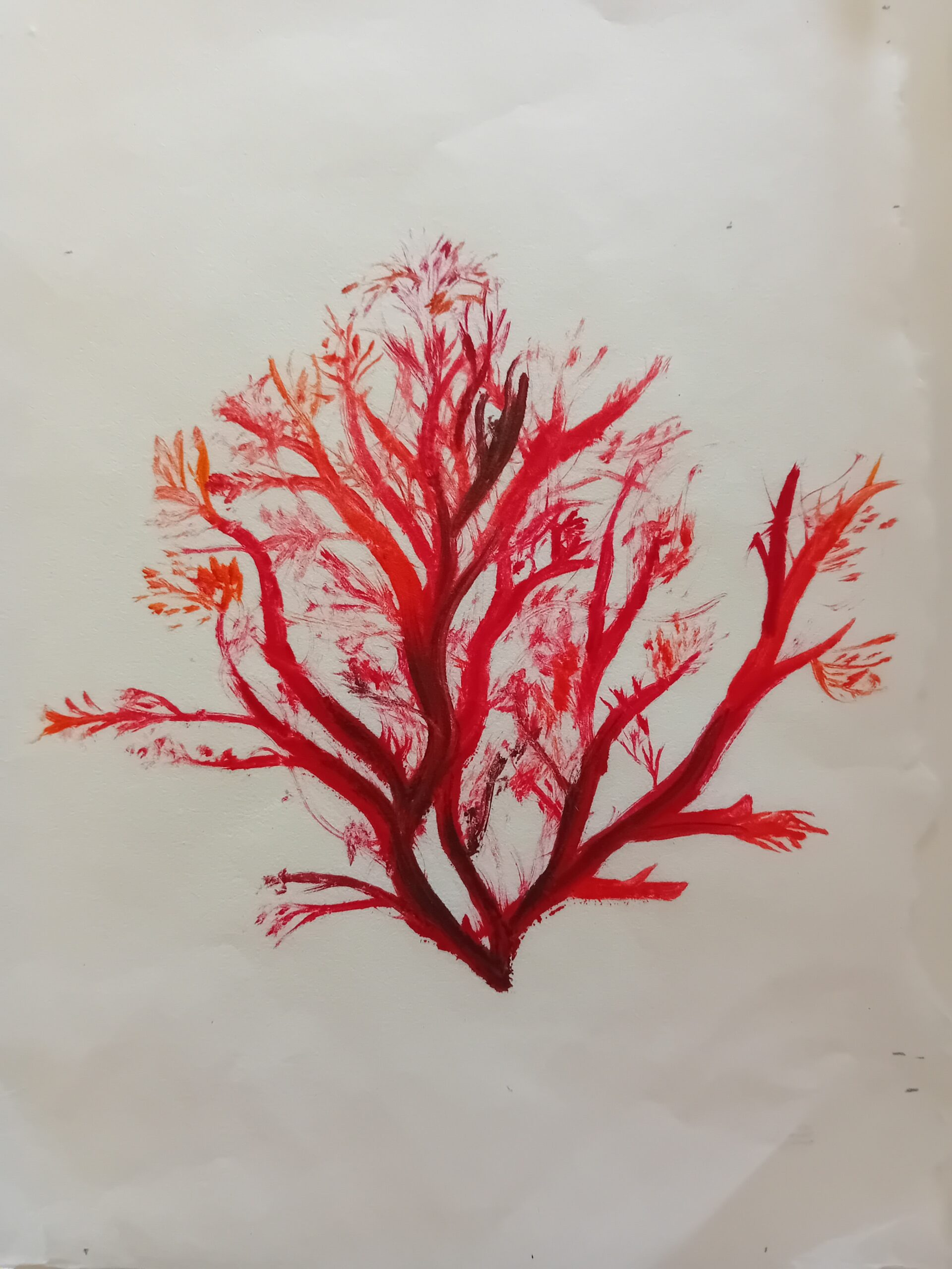 Peinture/monotypes - création d’une fresque - du 11 au 13/08/26 de 10h à 12h
