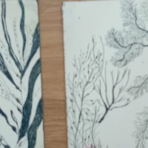 Gravure pointe sèche - eaux fortes - 14/08/26 de 10h à 17h