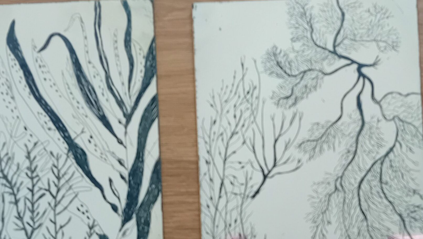 Gravure pointe sèche - eaux fortes - 14/08/26 de 10h à 17h